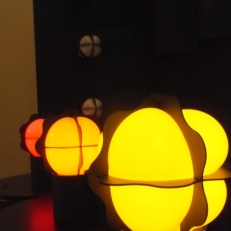 DSCF1170