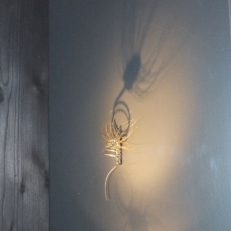 DSCF1335