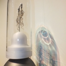 DSCF1359