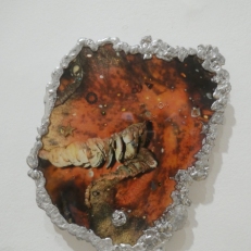 P2130770