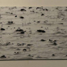 P1050837