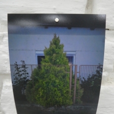P2130623