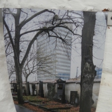 P2130633
