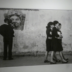 P1950561