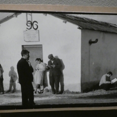P1950566