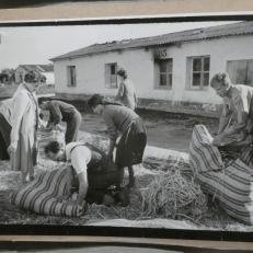 P1950568