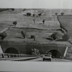 P1950576