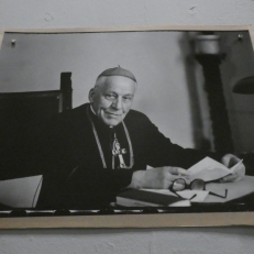 P1950577