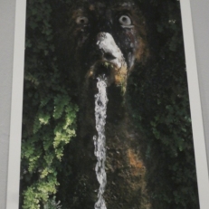 P1950585