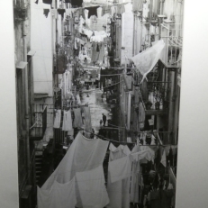 P1950602