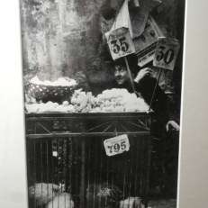 P1950603