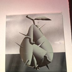 IMG_20250801_152321