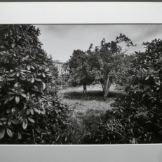 P1950383