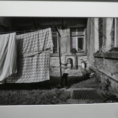 P1950384