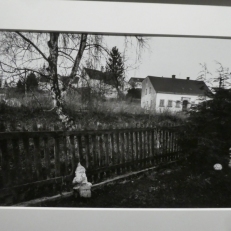 P1950387
