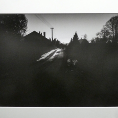 P1950394