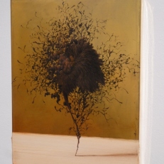 P2110325
