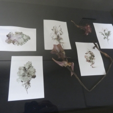 P2110326