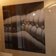 P1880894
