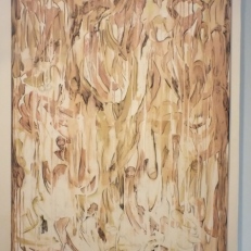 DSCF0184