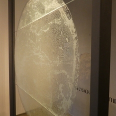 P1900263