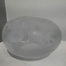 P1900274