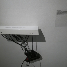 P2060909