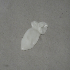 P2060913