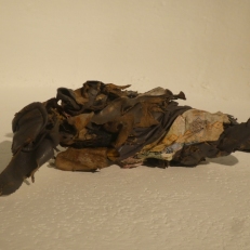 P2060928