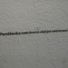 P2060929