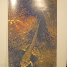 P1970128