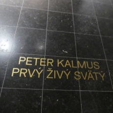 P2070884