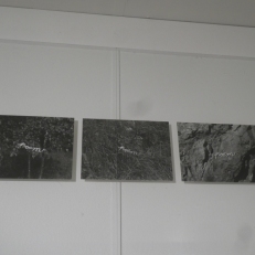 P2150364