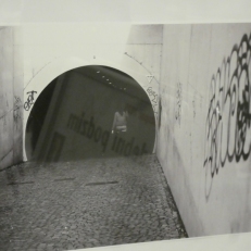 P1940164