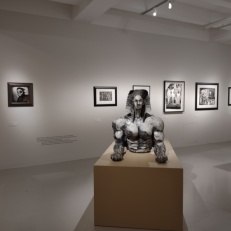 IMG_20251023_143203398