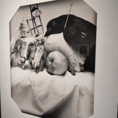 IMG_20251023_143315596