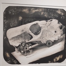 IMG_20251023_143430890