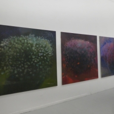 P2130508