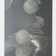 P1050545