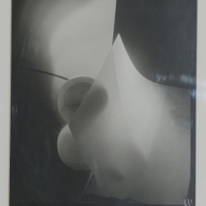 P1050567
