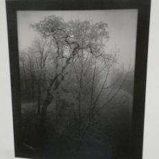 P2120385