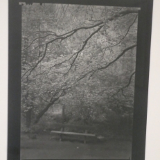 P2120386