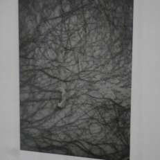 P2120392