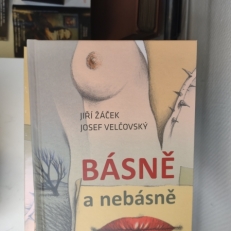 IMG_20251007_173906379