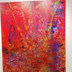 IMG_20250814_195431