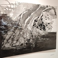 IMG_20250814_195508