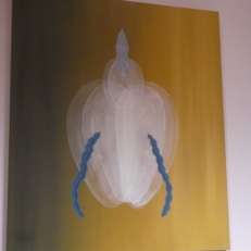 P2040222