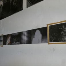 P1930487