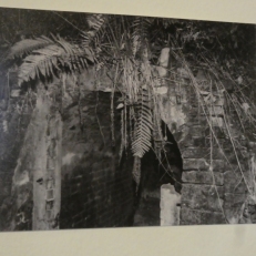 P1930493