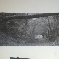 P1930496